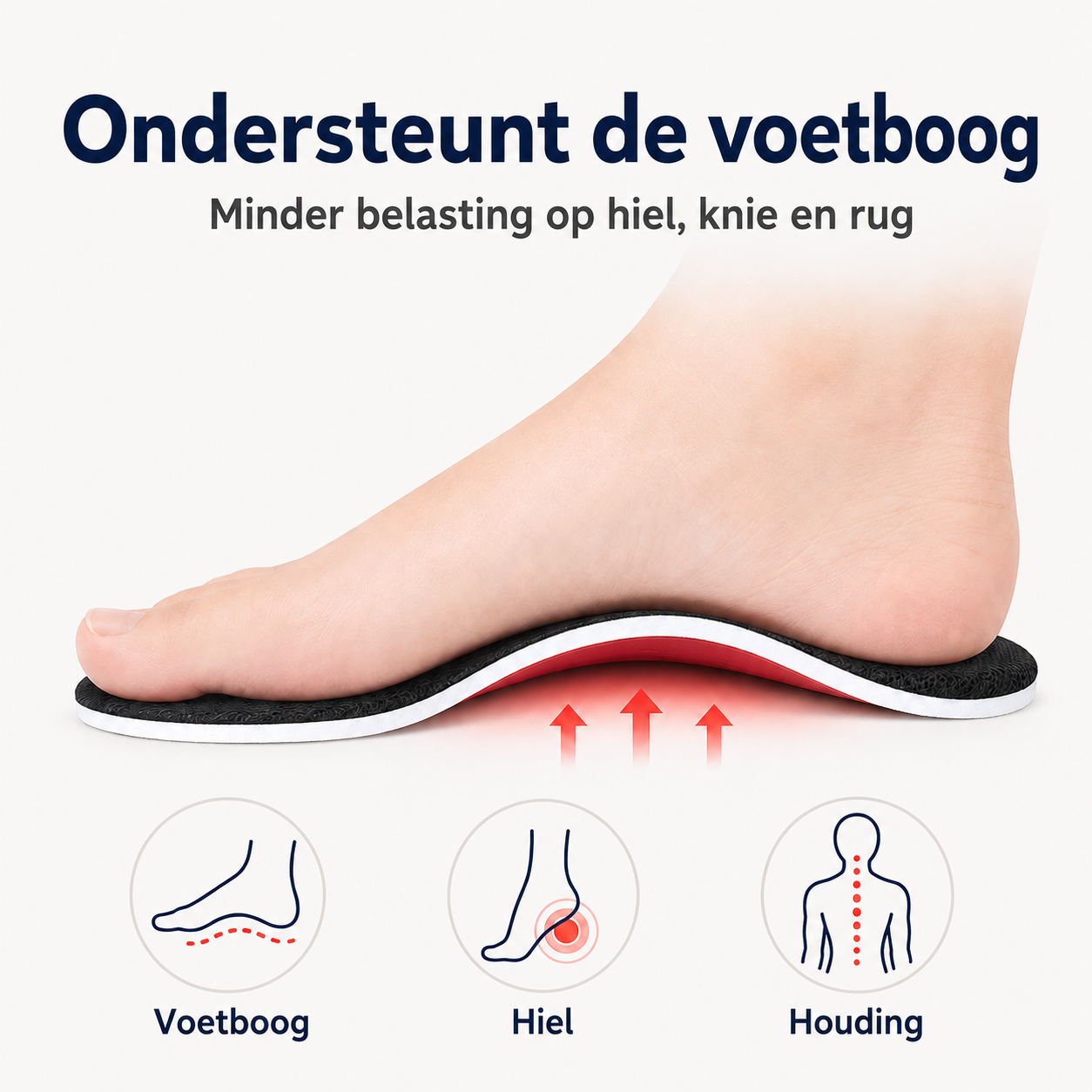ErgoSteg